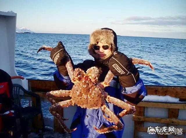 为什么帝王蟹不是螃蟹?