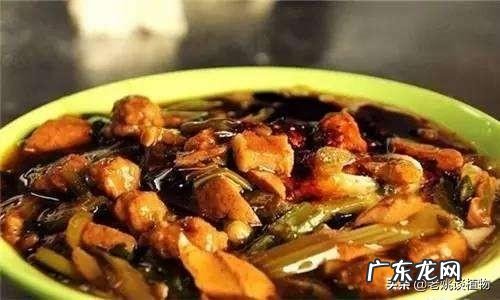 农村山里面几月份能采到刺老芽?