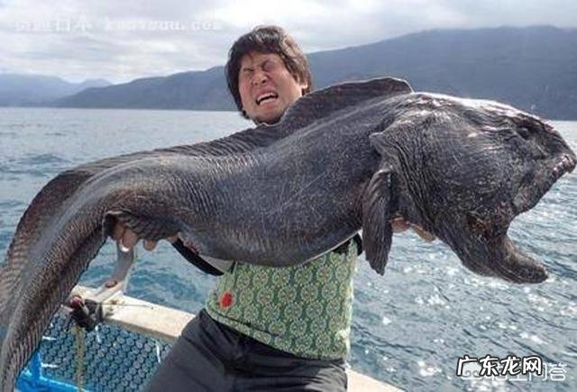 如果日本执意要将福岛核废水排入大海怎么办？你怎么看？