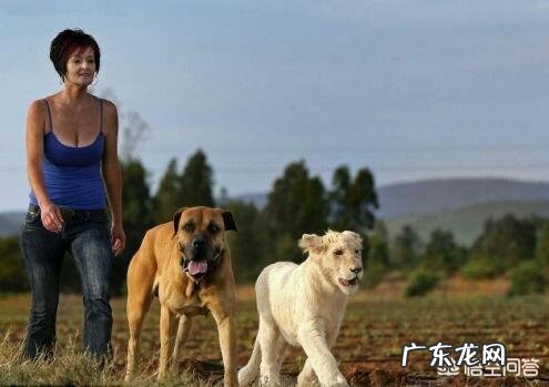 人为什么爱养宠物?