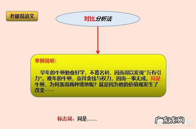 怎样指导高中生写议论文?