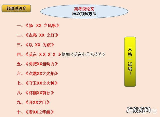 怎样指导高中生写议论文?