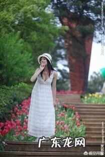 你对什么样的异性没有抵抗力?