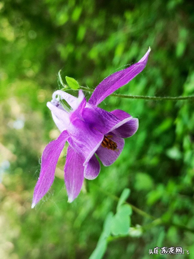 为什么说沿途风景永远都是流动的?