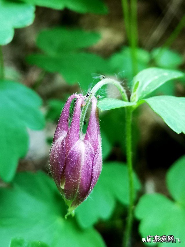 为什么说沿途风景永远都是流动的?