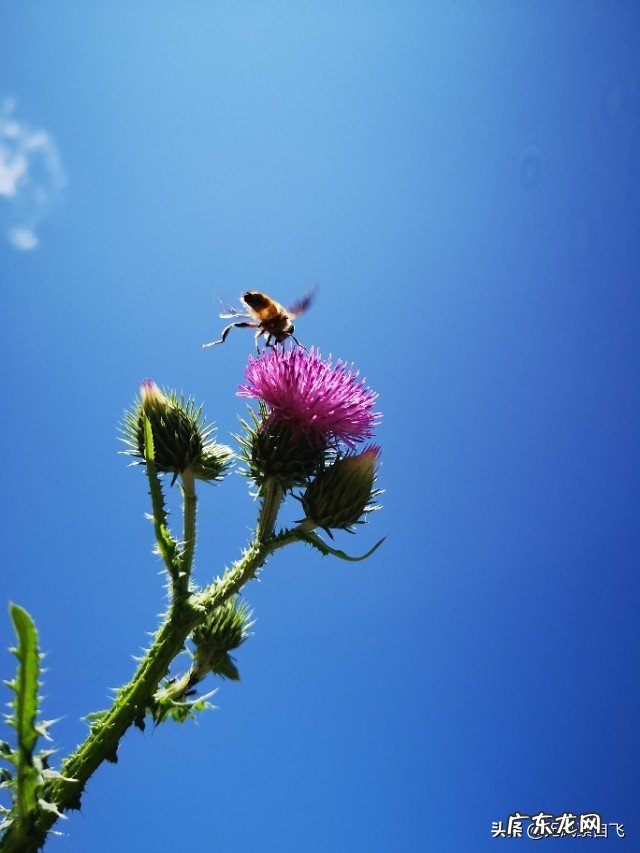 为什么说沿途风景永远都是流动的?