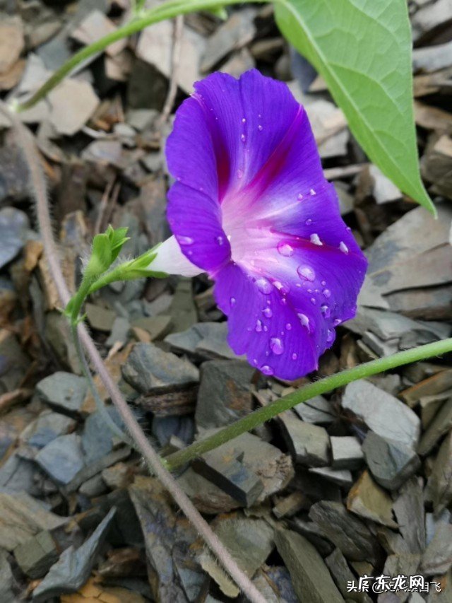 为什么说沿途风景永远都是流动的?