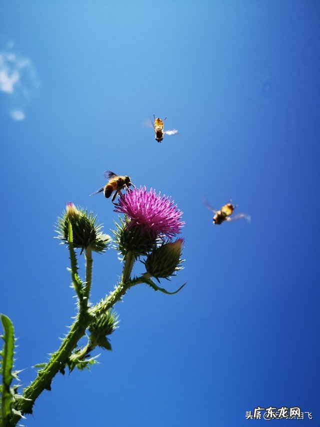 为什么说沿途风景永远都是流动的?