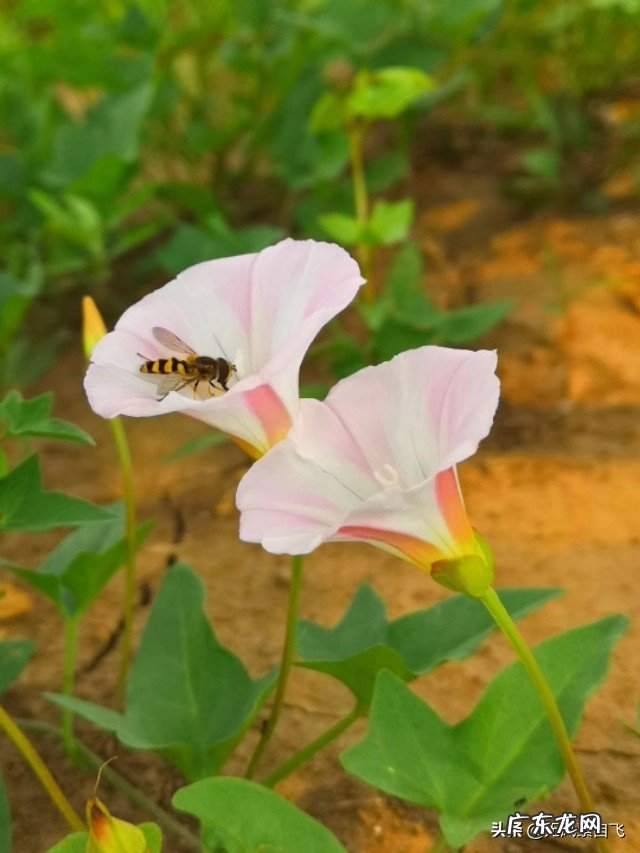 为什么说沿途风景永远都是流动的?