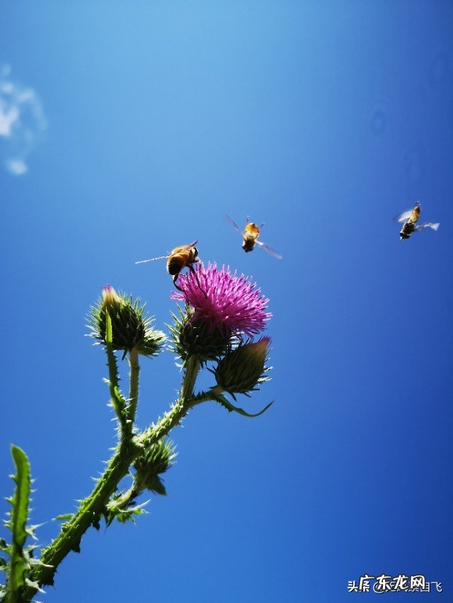 为什么说沿途风景永远都是流动的?