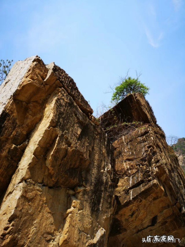 为什么说沿途风景永远都是流动的?