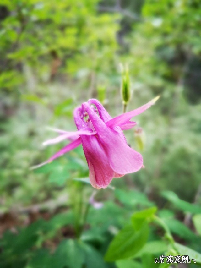 为什么说沿途风景永远都是流动的?