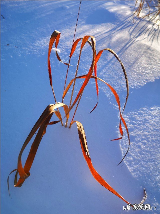 为什么说沿途风景永远都是流动的?