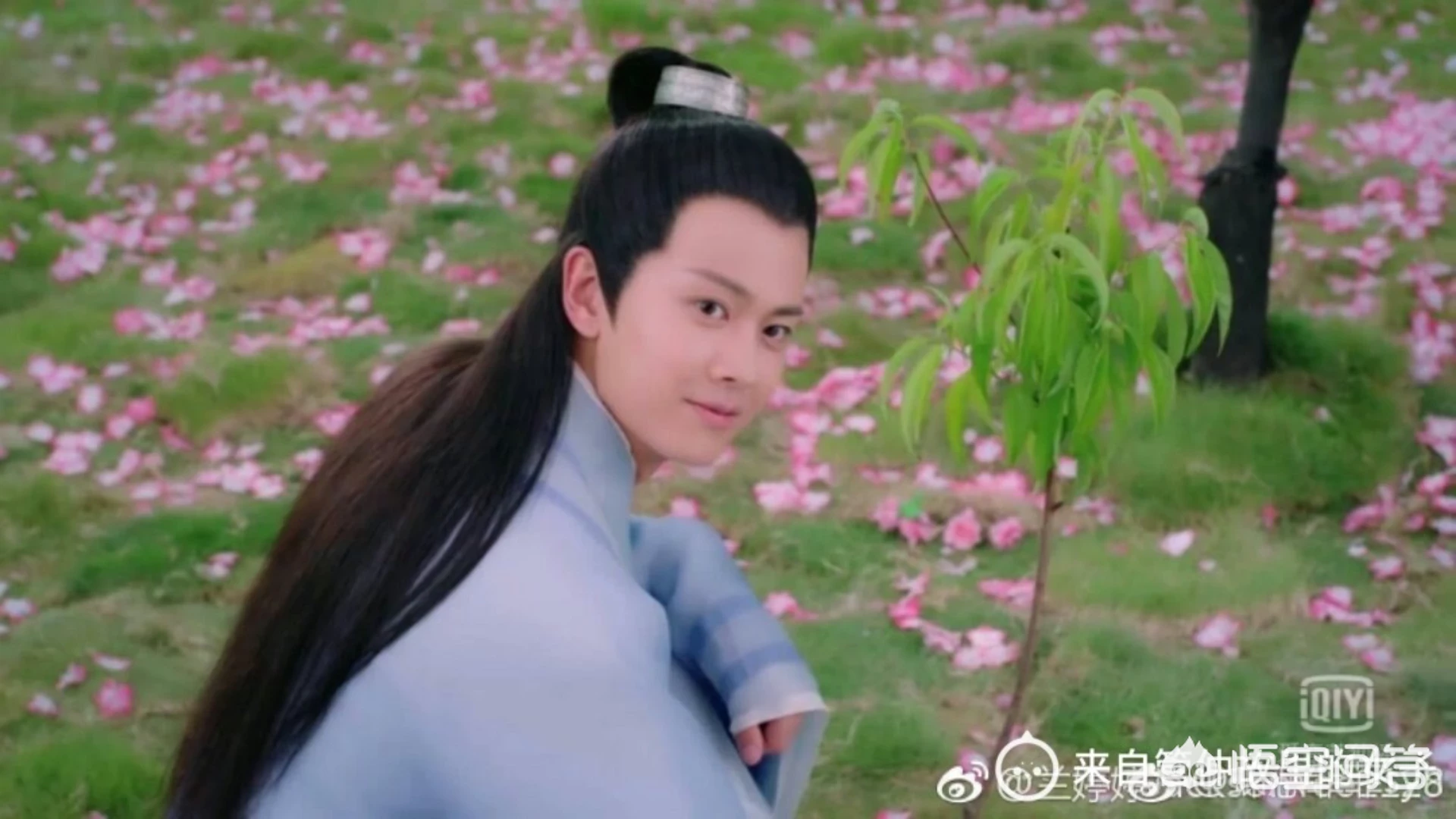 《天乩白蛇传》的播放率这么高,为什么会突然的就从爱奇艺上下线了?