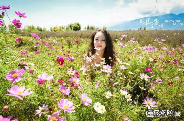 全国结婚率出现“五连降”,晚婚、不婚已成趋势?对此,大家有什么看法?