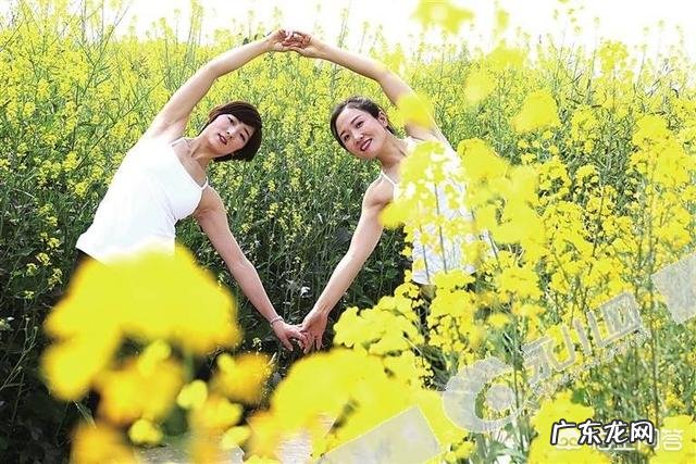 全国结婚率出现“五连降”,晚婚、不婚已成趋势?对此,大家有什么看法?