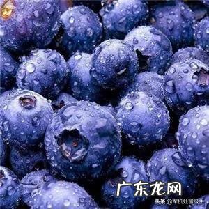 吃什么能抗氧化,抗衰老?