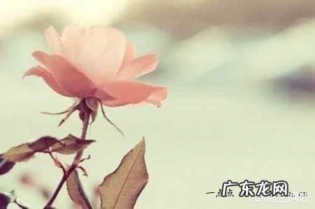 怎样规划和享受人生?