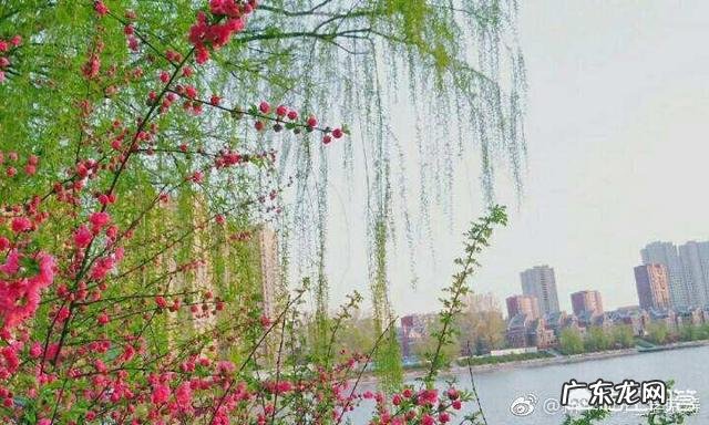 怎样规划和享受人生?