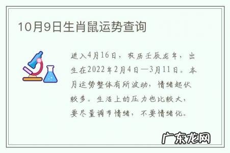 10月9日生肖鼠运势查询-生肖鼠10月份运势