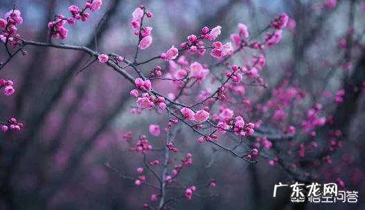 初中生如何学习数学?