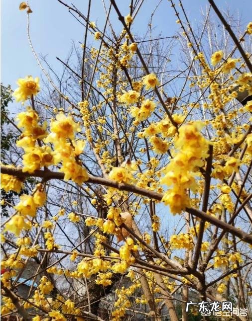 初中生如何学习数学?