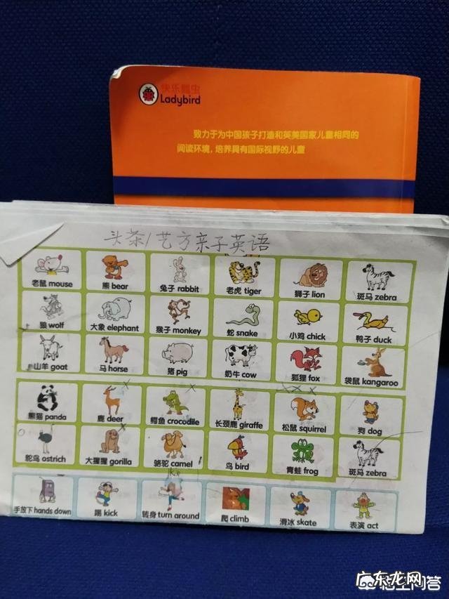 如何在小学学好英语？