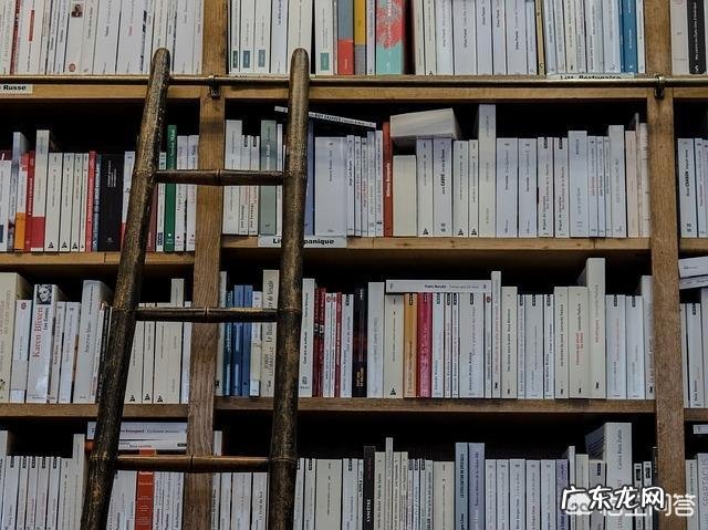 如何在小学学好英语？