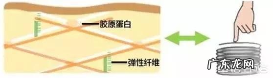 你觉得面部肌肤护理的“灵魂”是什么?