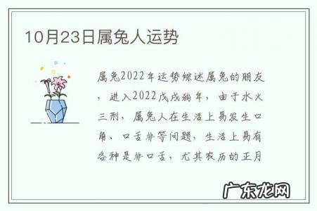 10月23日属兔人运势-属兔人10月份运势运程