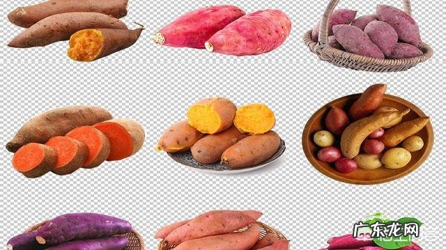 地瓜和红薯有什么区别?