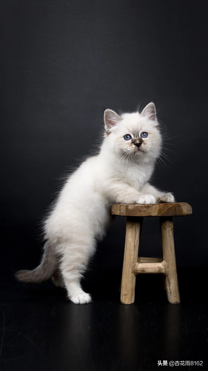 2岁的小孩子该如何教育和管教呢?