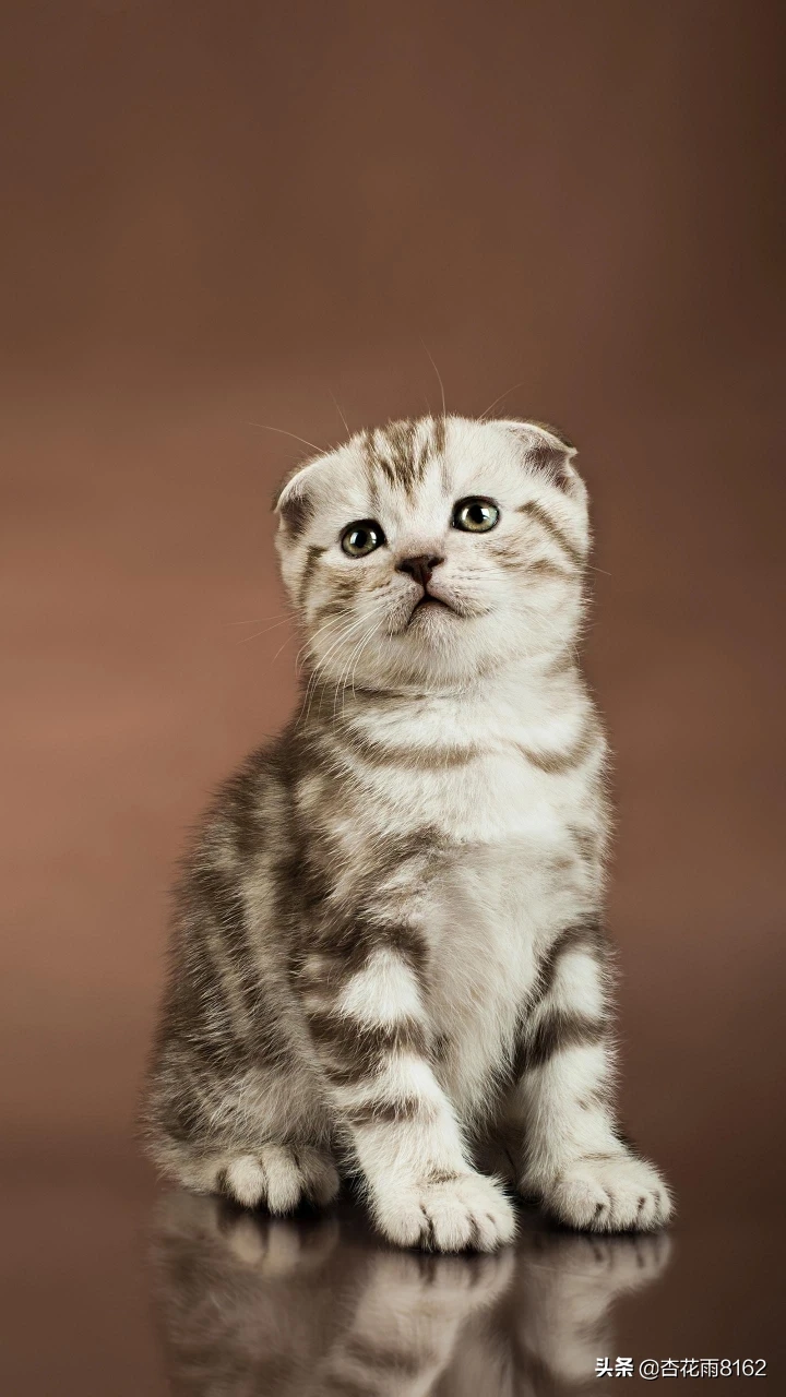 2岁的小孩子该如何教育和管教呢?