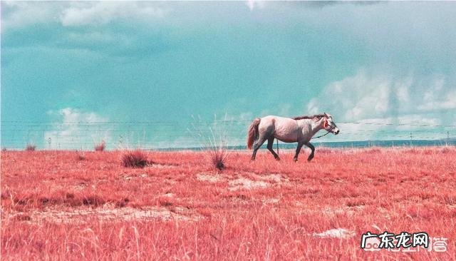 夏天,可以拍摄哪些属于夏天的风景?