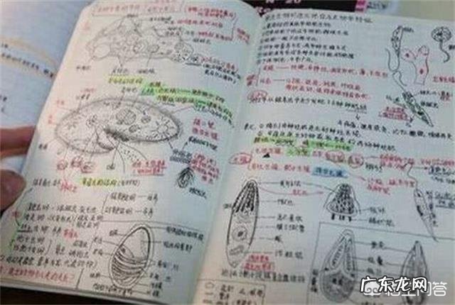 中学生如何做好课堂笔记?