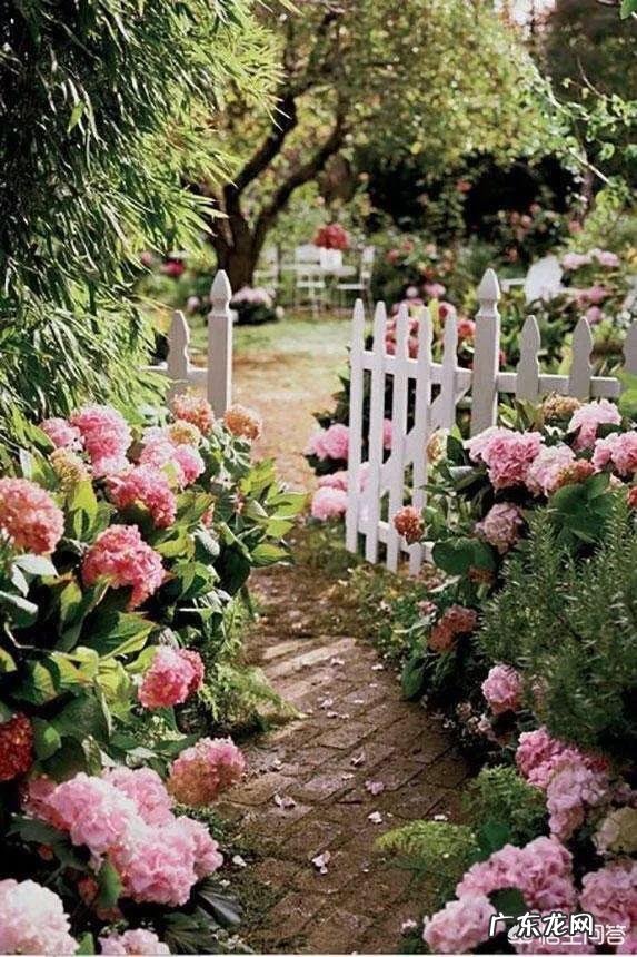 对生活充满向往是一种什么样的感觉？