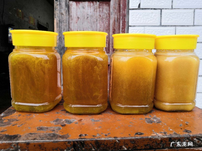 中蜂15天远距离迁移还有回蜂吗?