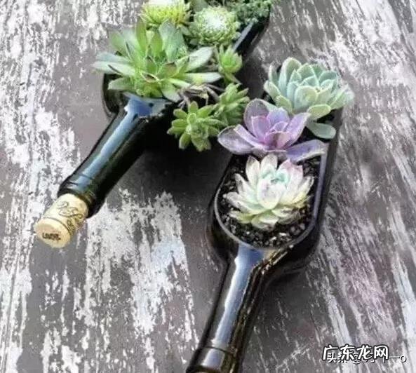 小伙伴们，有什么变废为宝的手工作品分享？尽量简单实用哦？