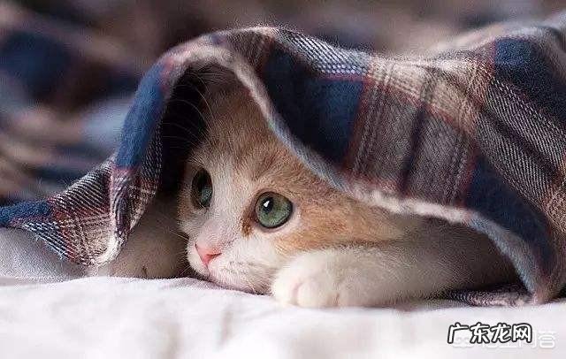 你是如何走出失恋低谷的?