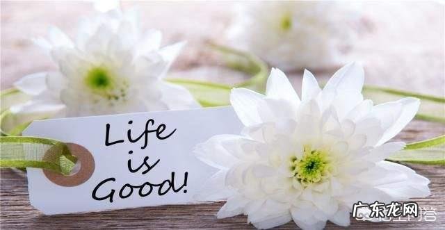 “逃避式考研”上热搜,考研,是为了学业更上一层楼,还是缓解就业压力?