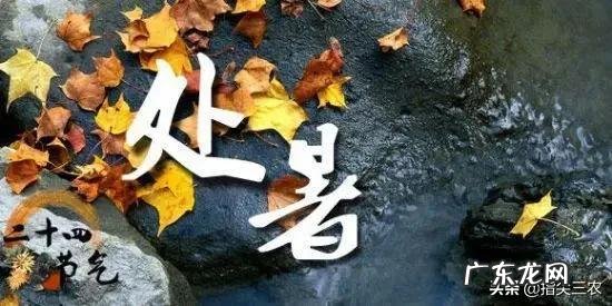 即将“出伏”,处暑节气也到了,后面还热吗?今年会有秋老虎吗?