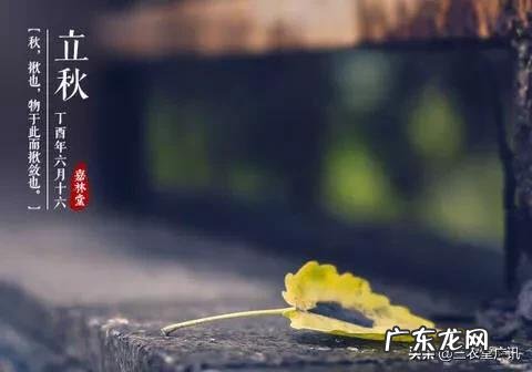 即将“出伏”,处暑节气也到了,后面还热吗?今年会有秋老虎吗?