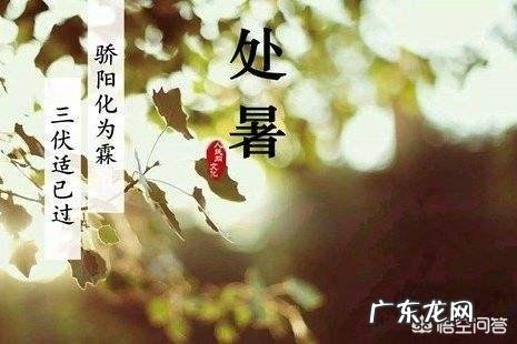 即将“出伏”,处暑节气也到了,后面还热吗?今年会有秋老虎吗?