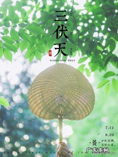 即将“出伏”,处暑节气也到了,后面还热吗?今年会有秋老虎吗?