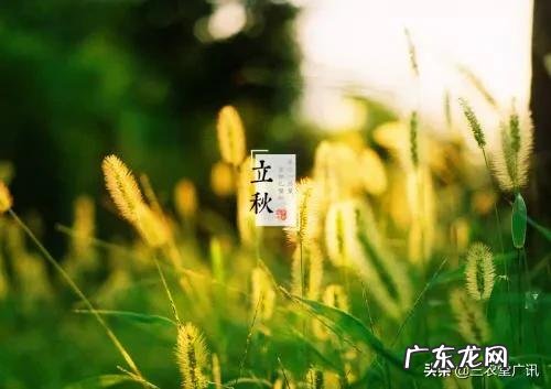 即将“出伏”,处暑节气也到了,后面还热吗?今年会有秋老虎吗?