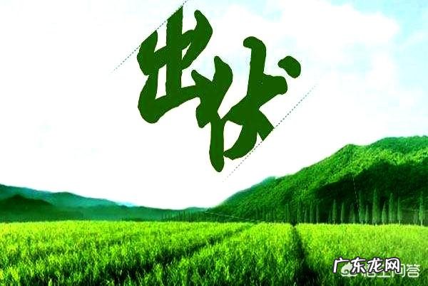 即将“出伏”,处暑节气也到了,后面还热吗?今年会有秋老虎吗?