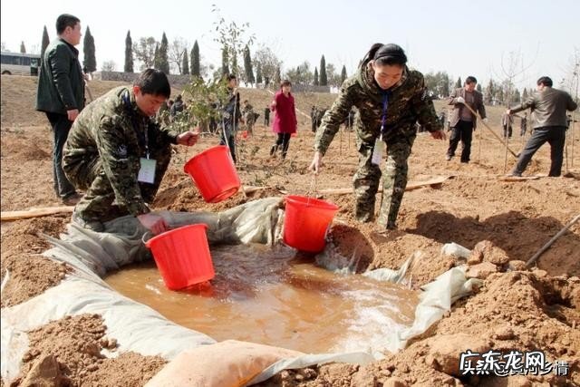 三门峡市植树造林,最佳时间段应该是几月?