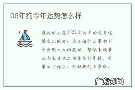 06年狗今年运势怎么样-