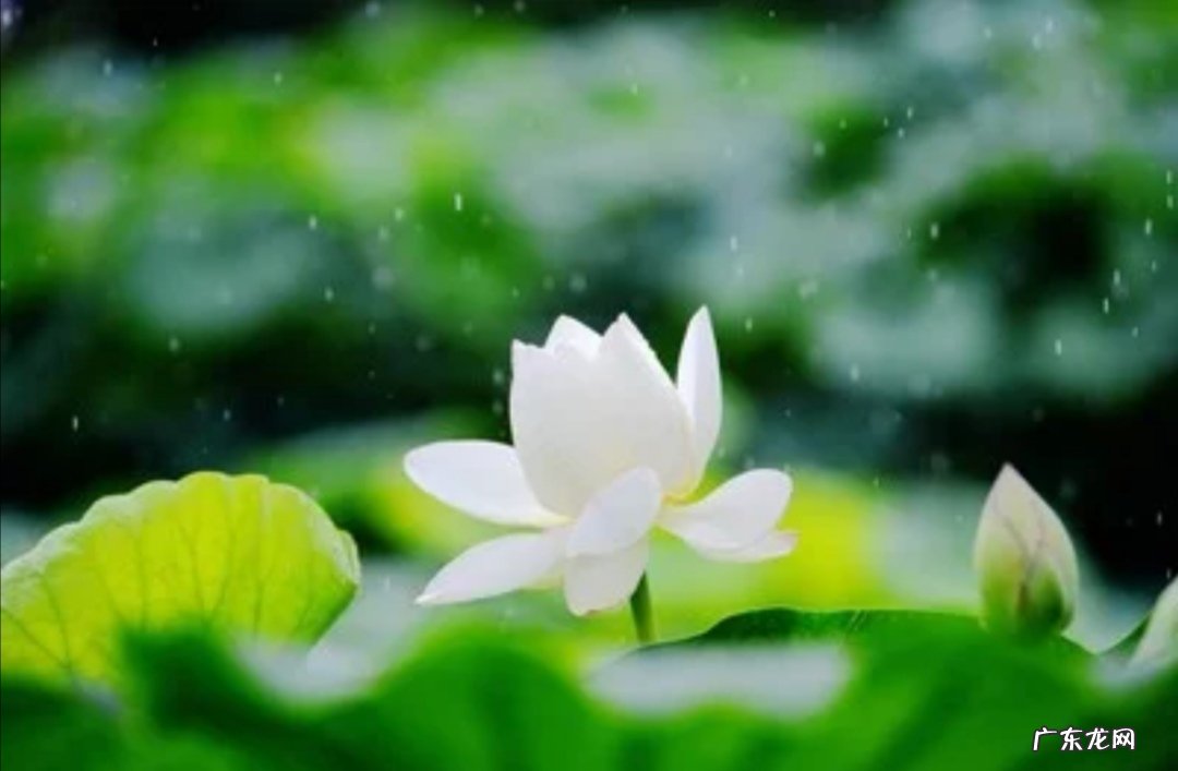 人什么时候要听天由命,什么时候要为自己奋斗?