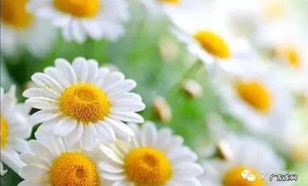 人什么时候要听天由命,什么时候要为自己奋斗?